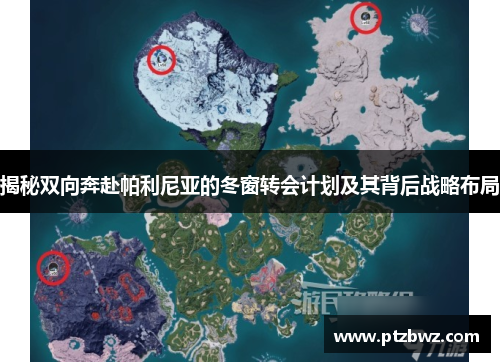 揭秘双向奔赴帕利尼亚的冬窗转会计划及其背后战略布局 揭秘双向奔赴帕利尼亚的冬窗转会计划及其背后战略布局