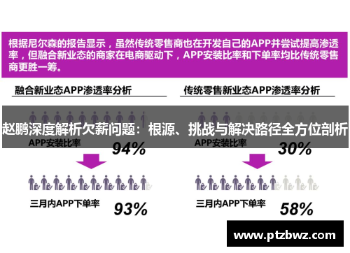 赵鹏深度解析欠薪问题：根源、挑战与解决路径全方位剖析
