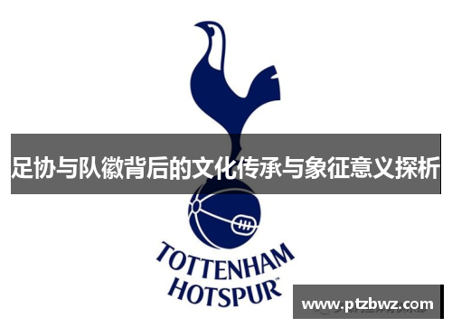 足协与队徽背后的文化传承与象征意义探析