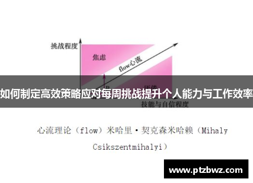 如何制定高效策略应对每周挑战提升个人能力与工作效率